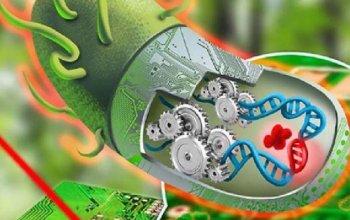BIOLOGÍA BÁSICA QQBB - P1043-TEÓRICO-PRACTICO-N0005-05-N01